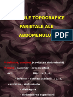 13-topografie-abdomen.ppt