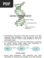 Protein Synthesis Notes PDF | PDF