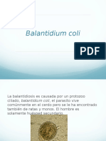 Balantidium Coli