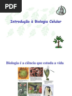 Biologia - Biologia Celular 1