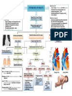 Tetralogy of Fallot