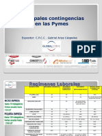 Principales Contingencias Pymes