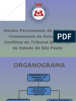 Apresentacao CEJUSCSparcerias