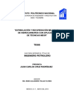 Estimulación y Recuperación Mejorada de Hidrocarburos Con Aplicación de Técnicas Meor