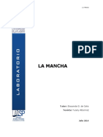 2.5.5 La Mancha