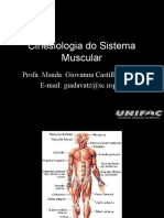 Cinesiologia Do Sistema Muscular