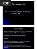 Biologia Botânica - Gimnosperma