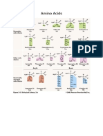 Amino Acids