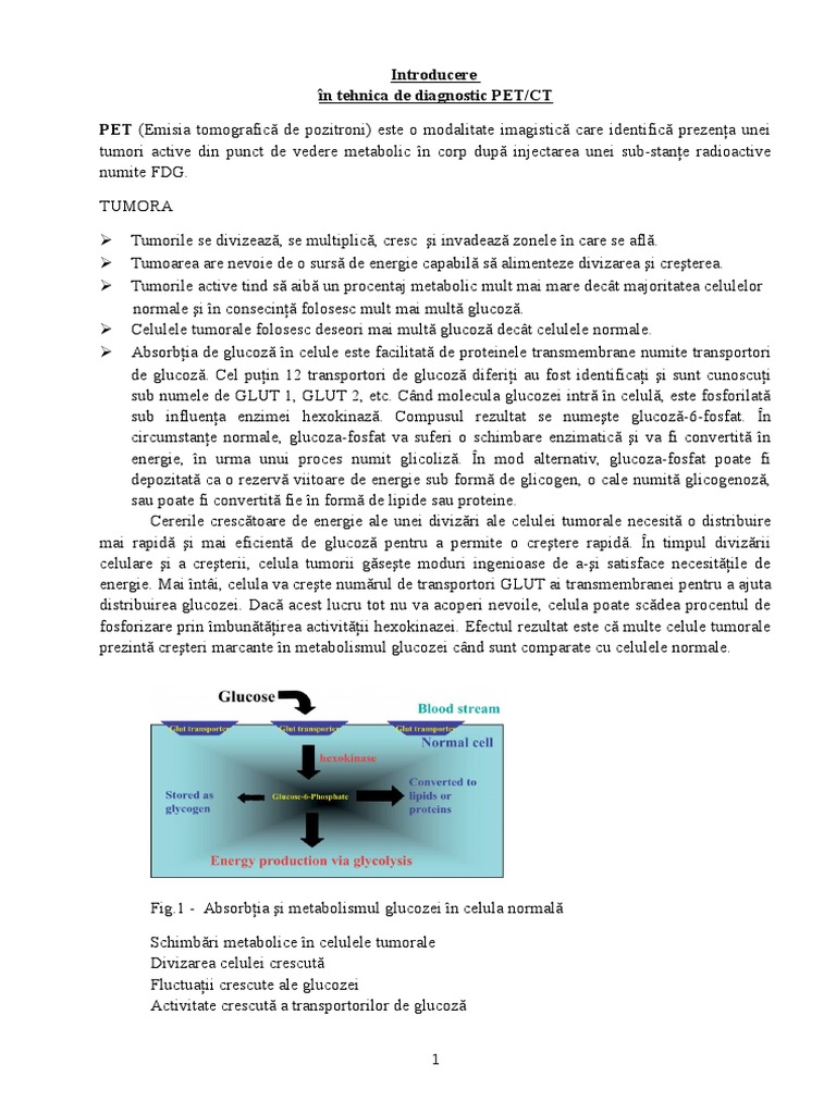 Pet CT | PDF
