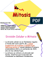 Exposicion de Mitosis