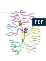 ACCAP3 MindMap3 More GroupSFP