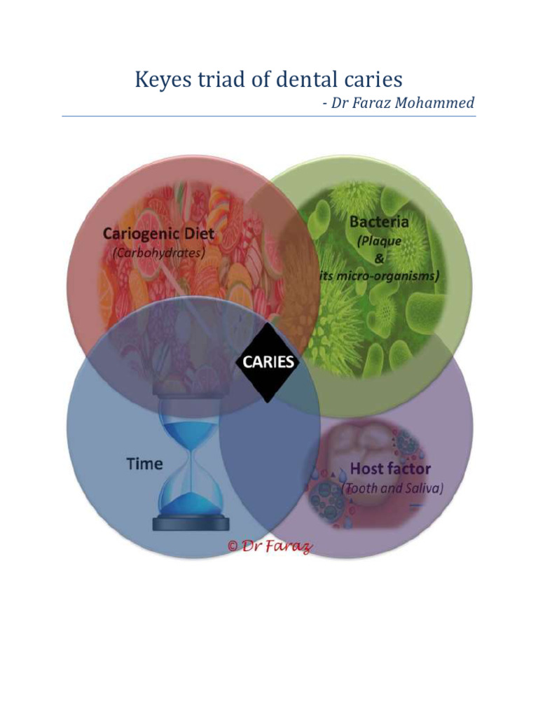 Keyes Triad of Dental Caries | PDF