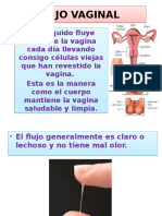 FlujoVaginalSalud