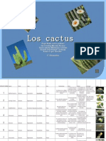 proyecto cactus 1°3vesp comp