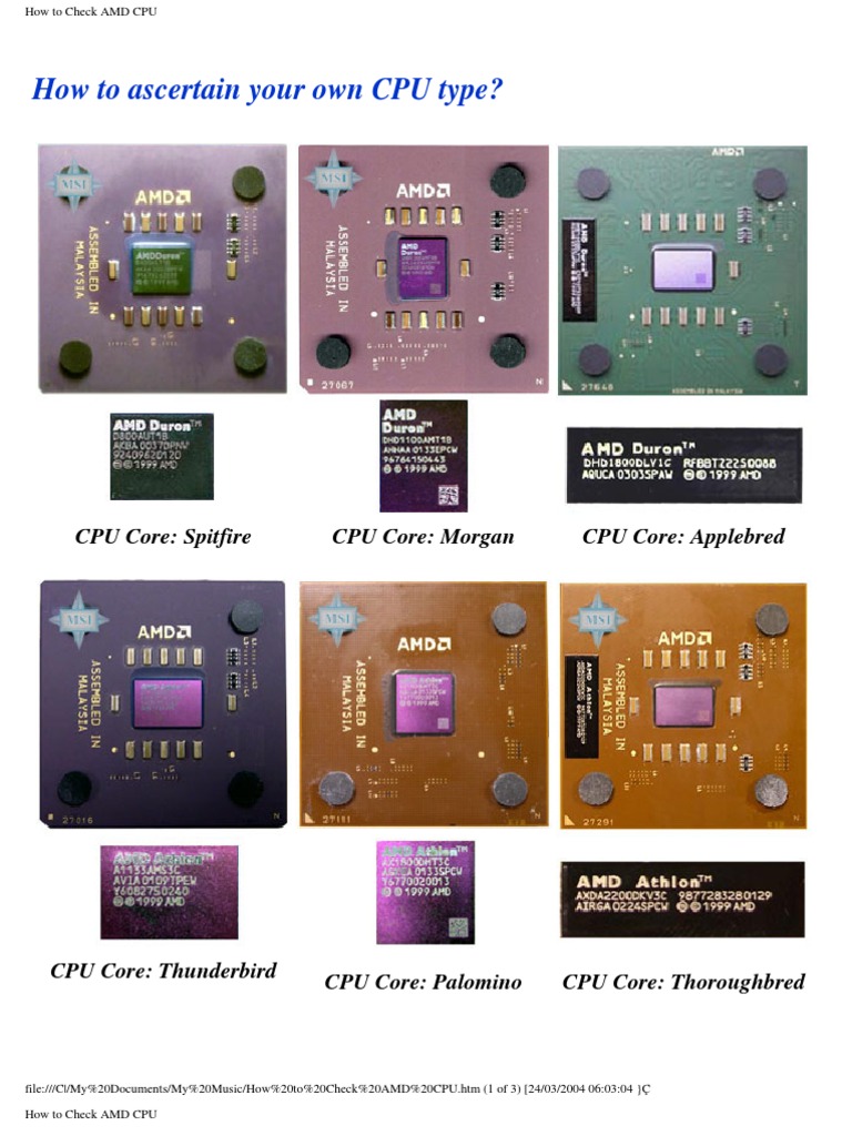 How To Check AMD CPU | PDF | Computer Architecture | Central Processing ...