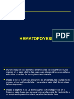 HEMATO - 1era Clase-hematopoyesis