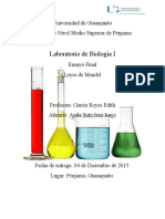 Leyes de Mendel