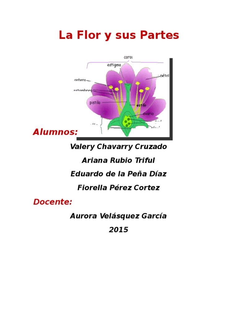 Partes de una Flor y sus Funciones | PDF | Flores | Plantas Domesticadas