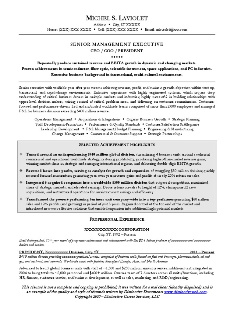 Sample CEO Resume Strategic Management Mergers And Acquisitions