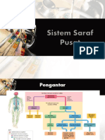 Sistem Saraf Pusat