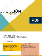 Atención Diapositivas - Psicopatologia