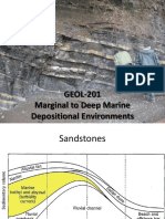 Marginal to Deep Marine Environments