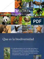 BIODIVERSIDAD