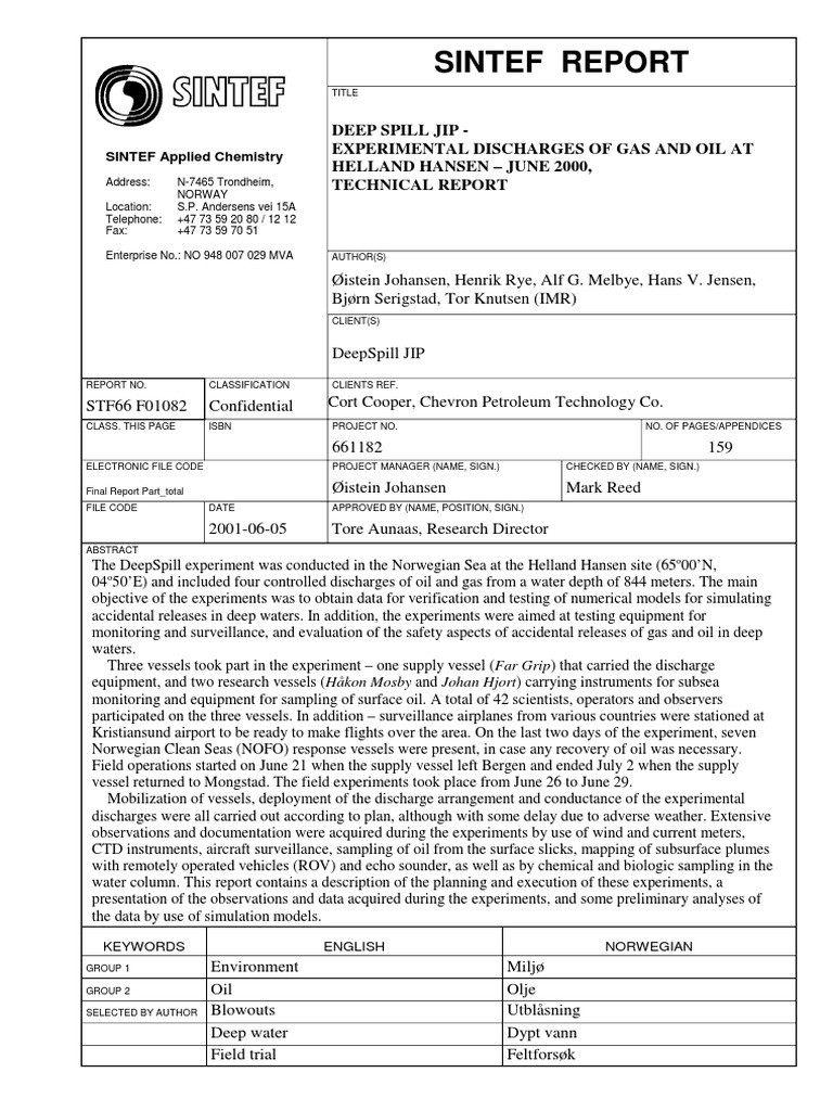 DeepSpill Final Report | PDF | Natural Gas | Subsea (Technology)