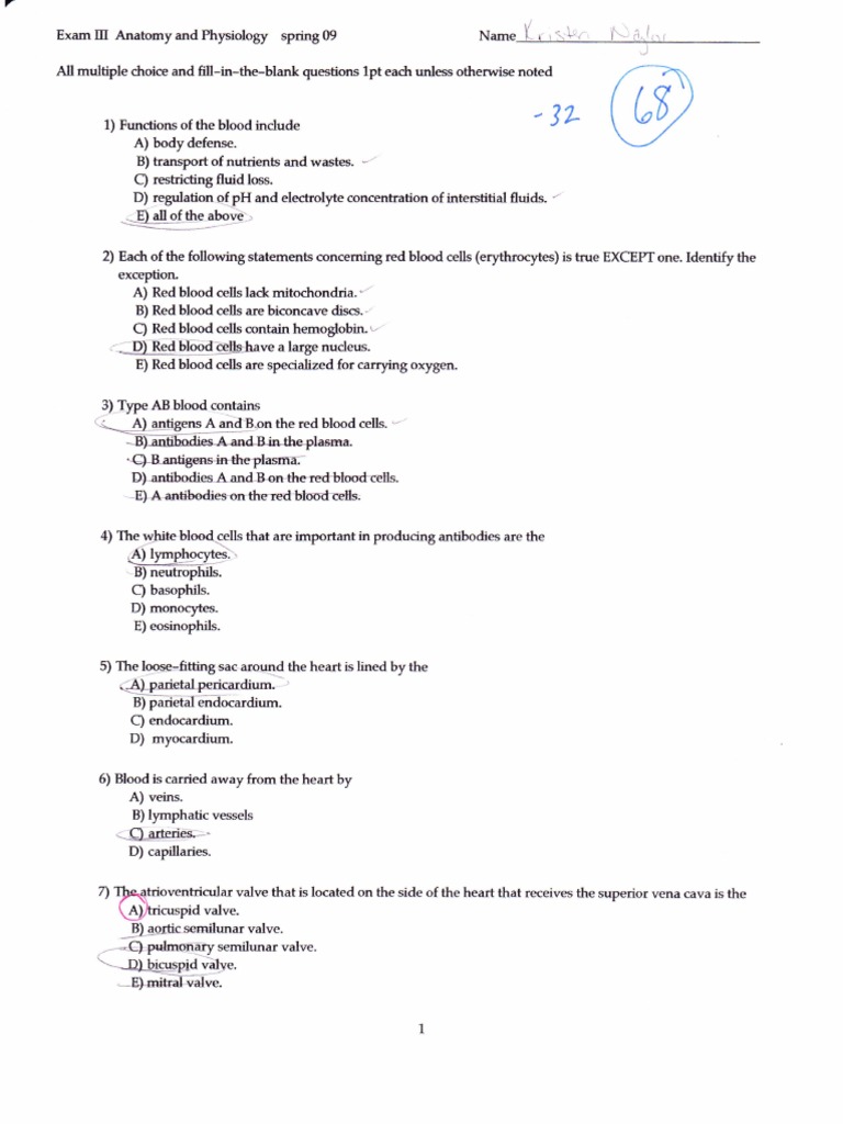 exam 3 | Artery | Heart exam 3 | Artery | Heart