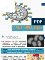 Influenza a A