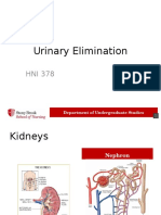 Urinary Elimination 2014 Voice