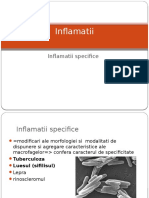 Inflamatii Specifice