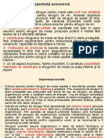 Soiuri de Masa PDF