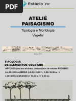 Morfologia Vegetal Aula (03)