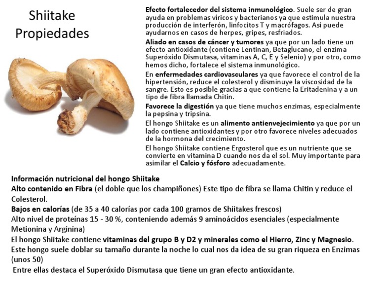 Shiitake Propiedades PDF