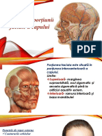 Portiunea Facială A Capului 2015