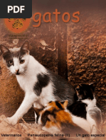 Gatos