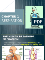 chapter1-respiration