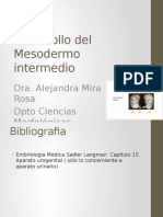 Desarrollo del Mesodermo intermedio.pptx