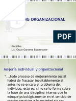 Coaching Organizacional-semana 15