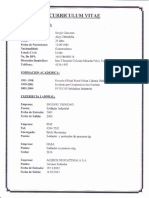 Modelo Curriculum 