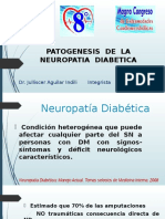Topicos de Patogenesis de La Neuropatia Diabetica