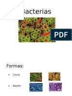 Bacterias Microbiolo