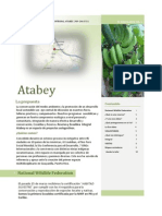 Atabey / B. Informativo Vol. 1