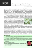 UFRJ pesquisa planta que inibe a produção de anticorpos