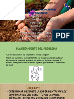 CLASIFICACIÓN DE LOS COMPONENTES SÓLIDOS DEL SUELO