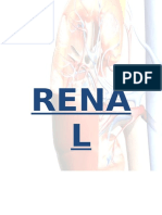 Fisiología Renal