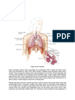 Sistem Pernapasan Manusia
