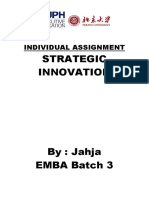 Strategic Innovation: Individual Assignment