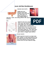 Gangguan Sistem Pencernaan Manusia